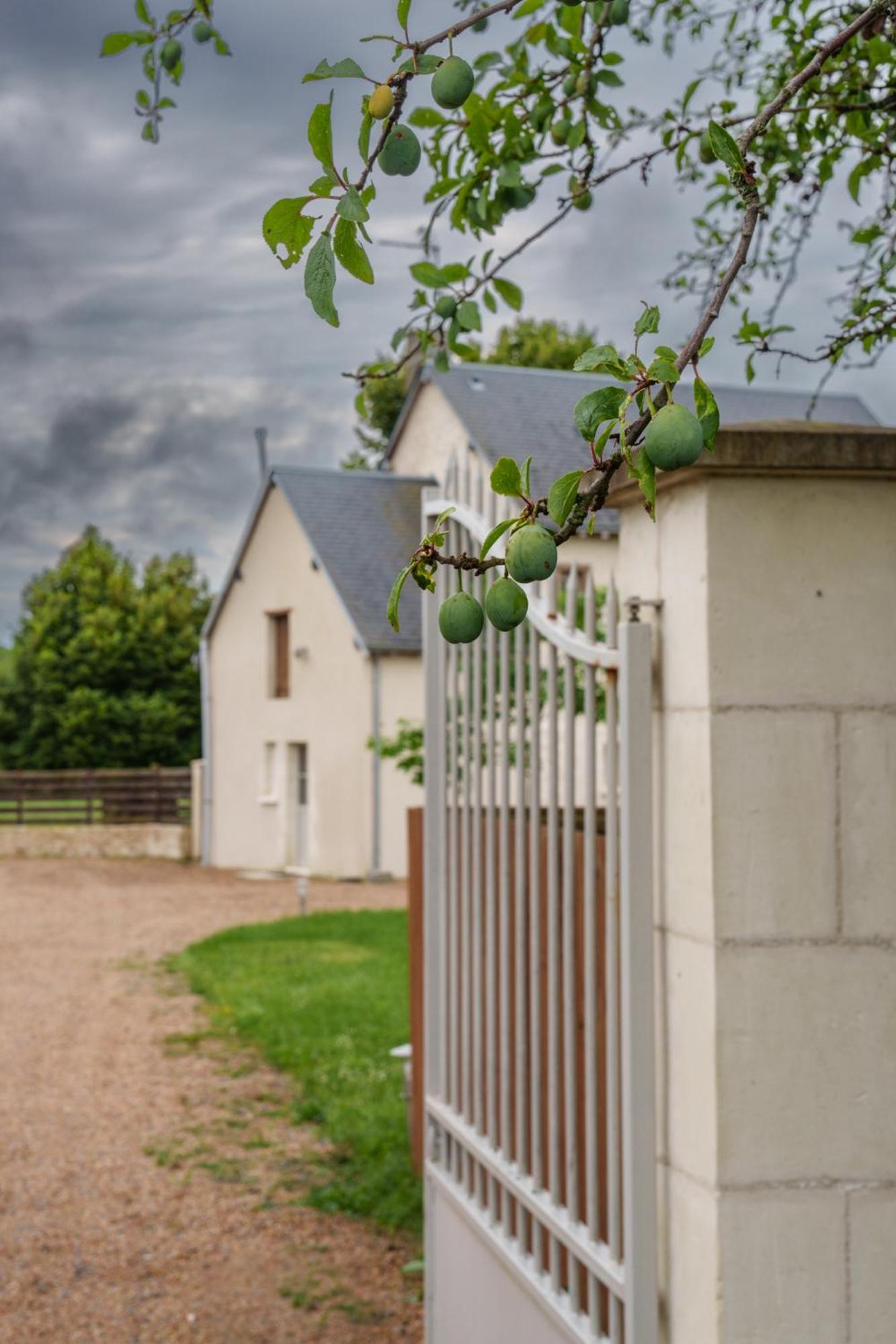 Maison Campagne Proche Tours Et Loches 6 Personnes Saint-Branchs Exterior foto